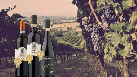 🍷 Nieuw in ons assortiment: Omero Moretti – Authentieke bio-wijnen uit Montefalco