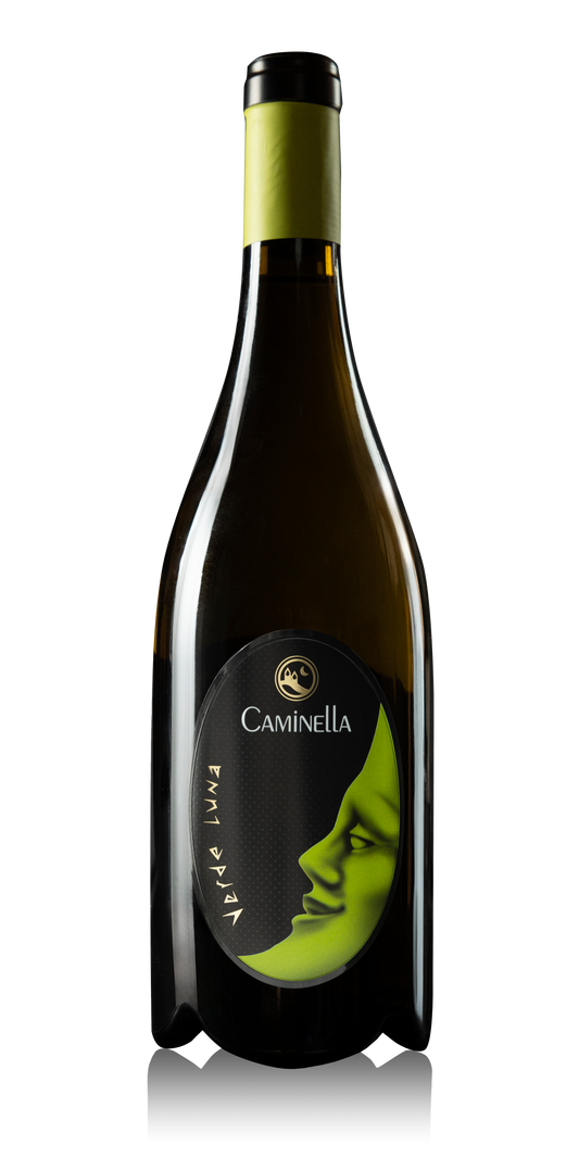 Caminella Verde Luna 2024